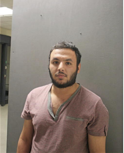 MOHSEN A SALEH, Cook County, Illinois