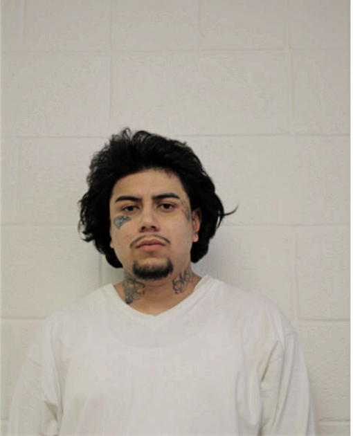 MICHAEL J STRONG, Cook County, Illinois