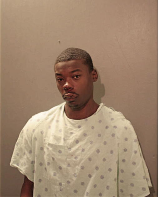 THOMAS J TURNAGE, Cook County, Illinois