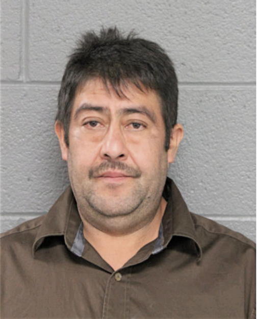 ROBERTO A SAENZ FIERRO, Cook County, Illinois