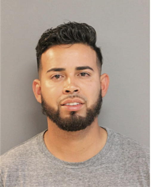 ERIK A ALMANZA, Cook County, Illinois