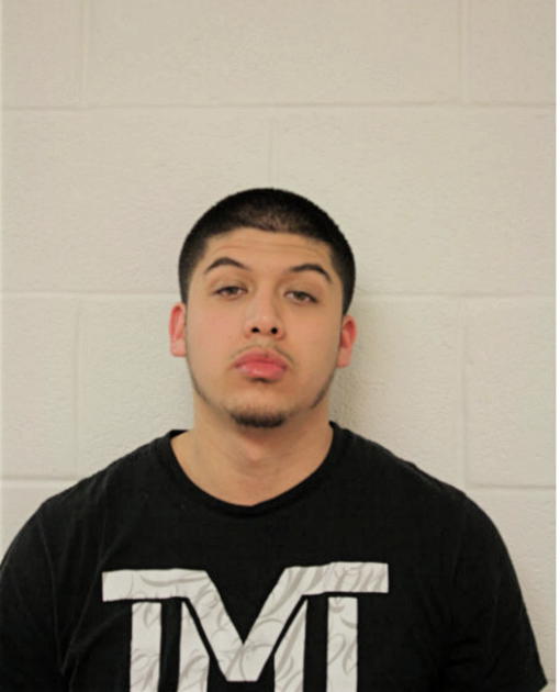 JESSE DEL ANGEL, Cook County, Illinois