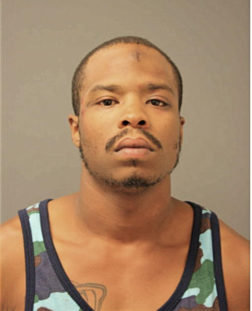 STEVE S BANKS, Cook County, Illinois