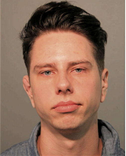 DAVID A BIESCHKE, Cook County, Illinois
