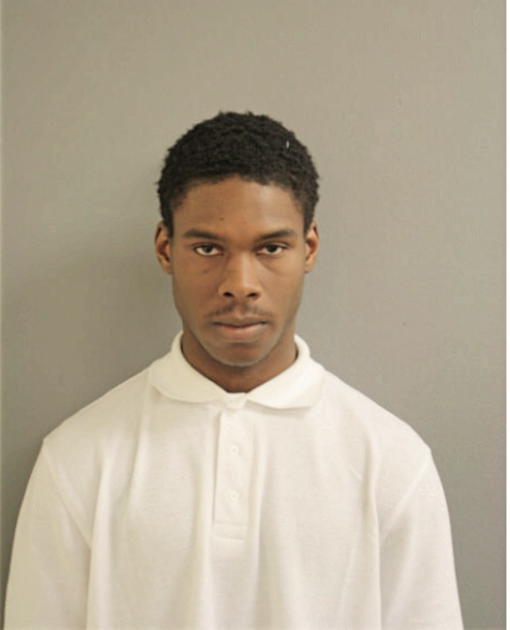 PATRICK E BOWDEN, Cook County, Illinois