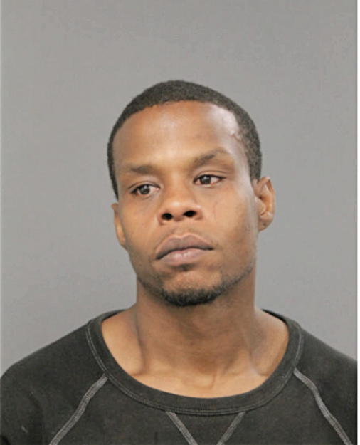 STEVEN L BRADY, Cook County, Illinois