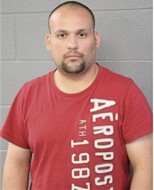 DAVID C CHAIDEZ, Cook County, Illinois