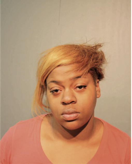 ASHLEY S FIELDS, Cook County, Illinois