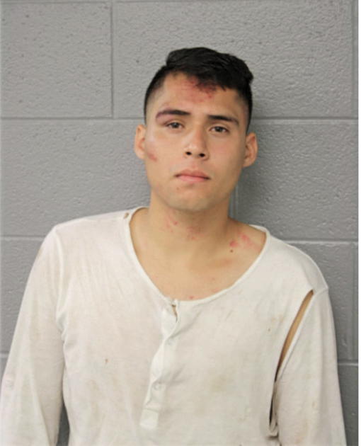 ANTHONY FLORES, Cook County, Illinois