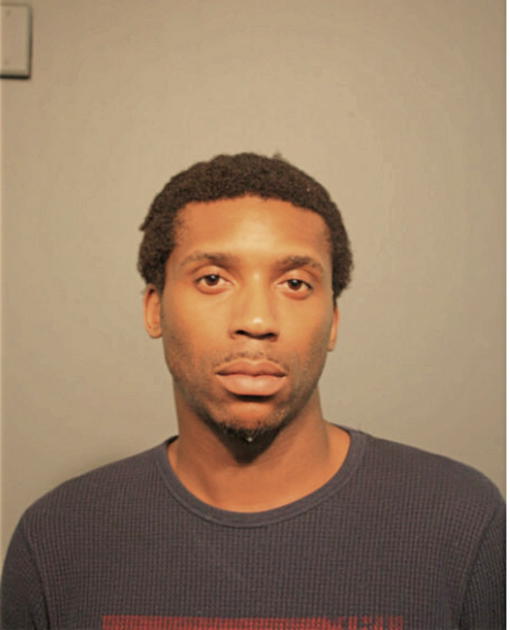 DAVID L GARNER JR, Cook County, Illinois