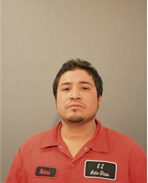 ROBERTO C GONZALEZ, Cook County, Illinois