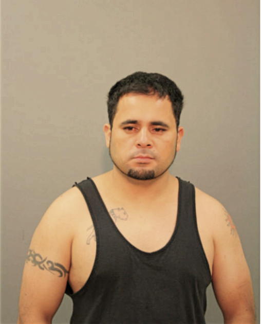SALVADOR HERNANDEZ, Cook County, Illinois