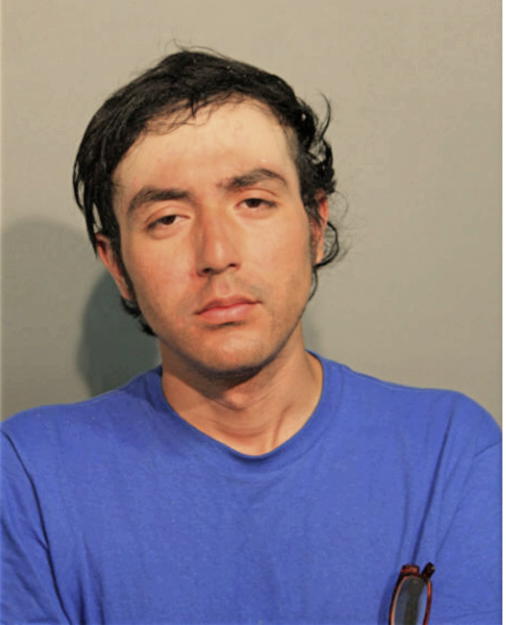 KEVIN S HIGUEROS, Cook County, Illinois
