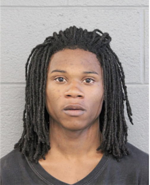 VASHON L JOHNSON, Cook County, Illinois