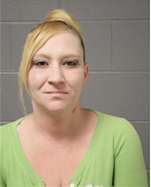AMY D LONG, Cook County, Illinois