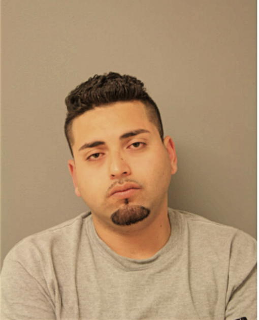 DIEGO A LOPEZ, Cook County, Illinois