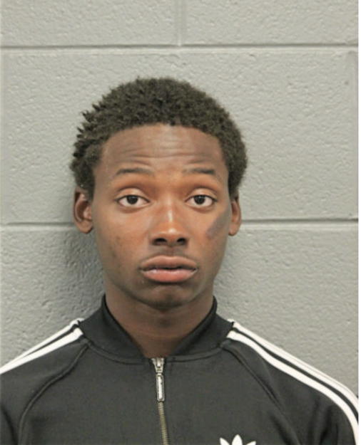 CAMERON J LOVE, Cook County, Illinois