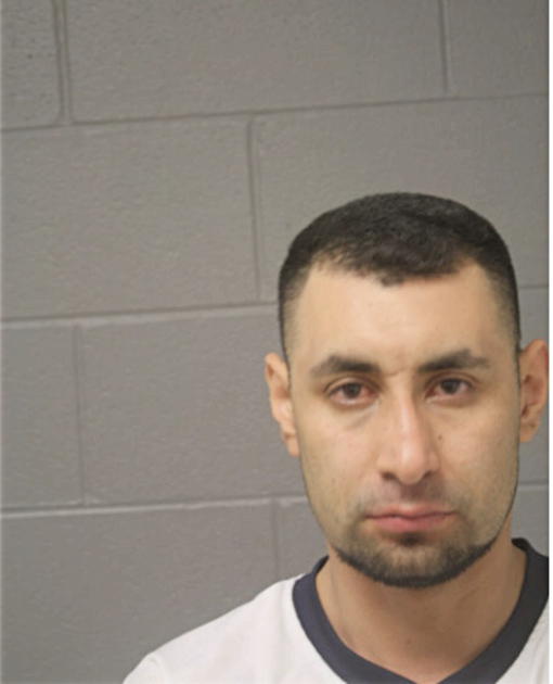 NARCO ANTONIO MAGALLANES, Cook County, Illinois