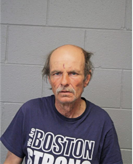 MICHAEL W OLLIS, Cook County, Illinois