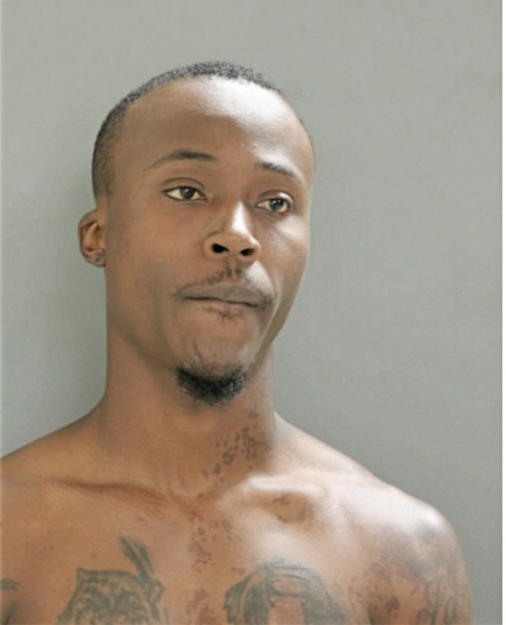 DAVID B OSBORNE, Cook County, Illinois