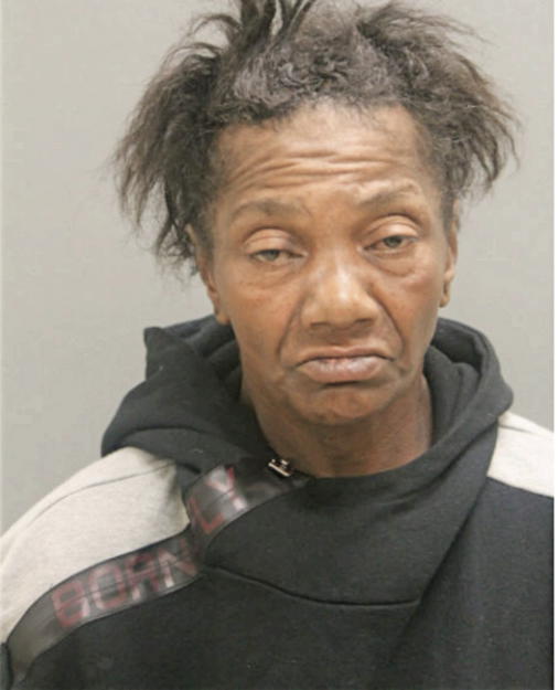 SUSAN A RICKS, Cook County, Illinois