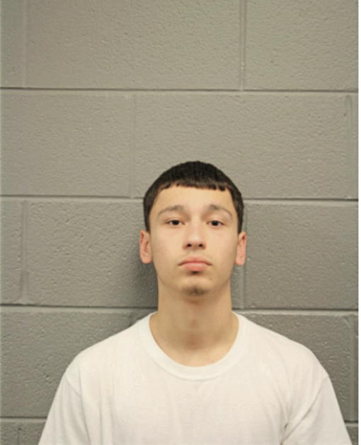 ALBERTO RODRIGUEZ, Cook County, Illinois
