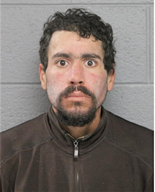AMETT RODRIGUEZ-AROCHO, Cook County, Illinois