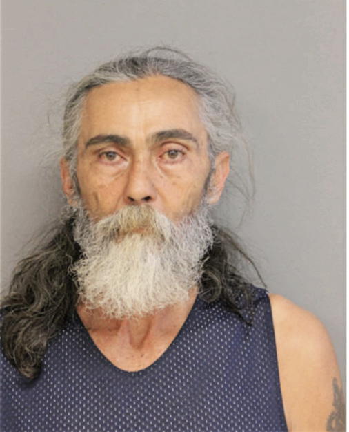ALVIN S ROMAN, Cook County, Illinois