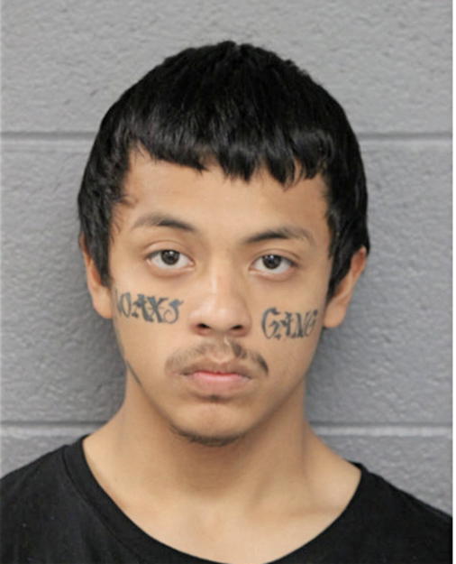 GLEN RUIZ, Cook County, Illinois