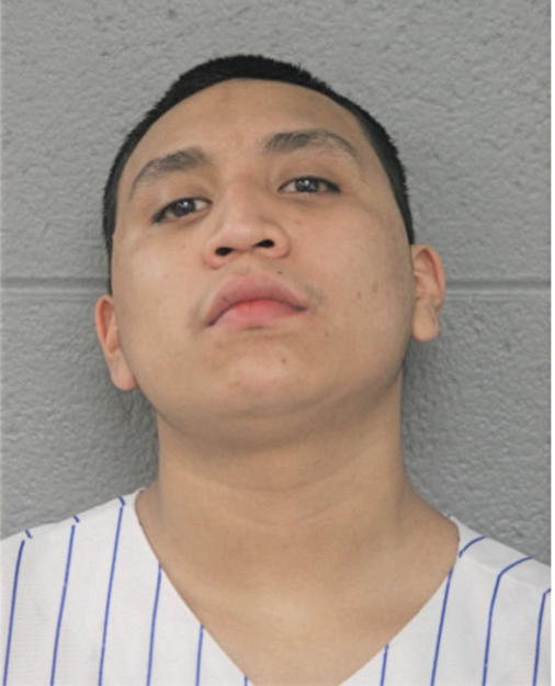 BRYAN J SALGADO, Cook County, Illinois