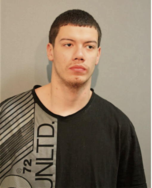 ANGEL L TORRES, Cook County, Illinois