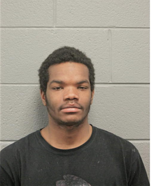 BRANDON T WESLEY, Cook County, Illinois