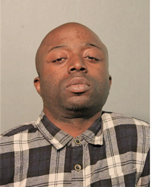 MICHAEL T ADENIYI, Cook County, Illinois