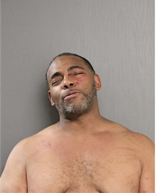 KENNETH E AMMONS, Cook County, Illinois