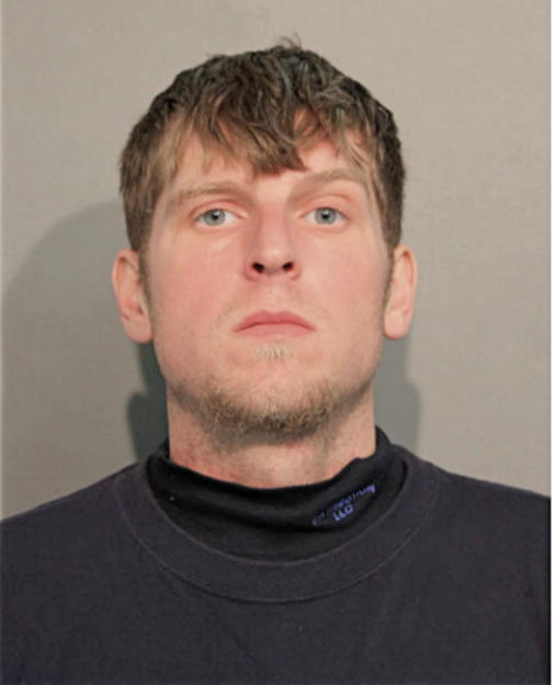 MICHAEL A BREZENE, Cook County, Illinois