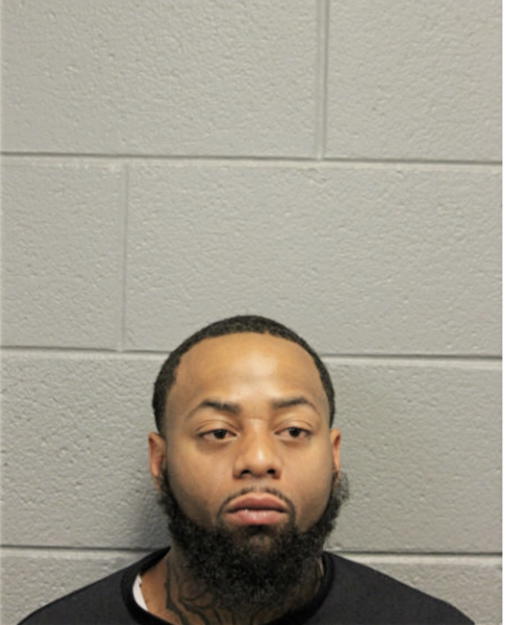 CRAIG A BRYAN, Cook County, Illinois