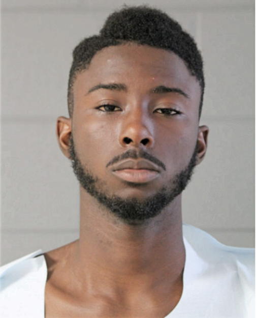 CHRISTOPHER L BURTON, Cook County, Illinois