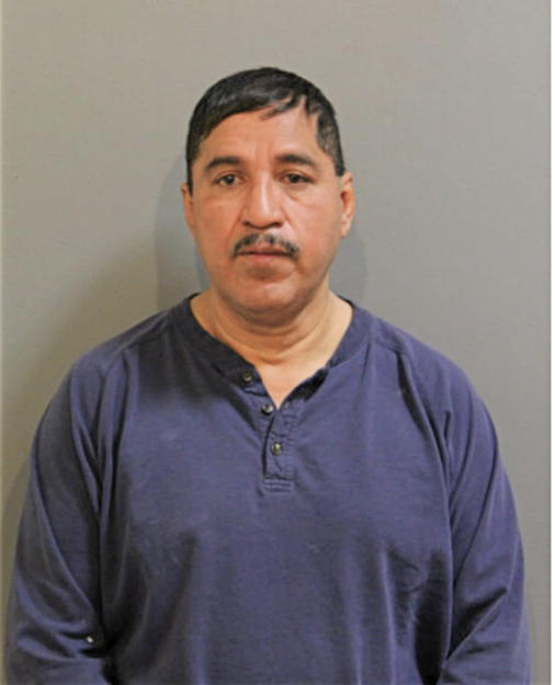 JOHN D CARISALES, Cook County, Illinois