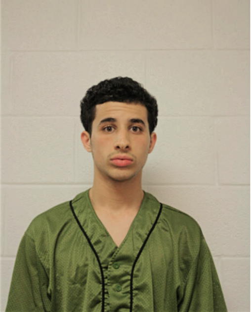 OUSSAMA DJAID, Cook County, Illinois