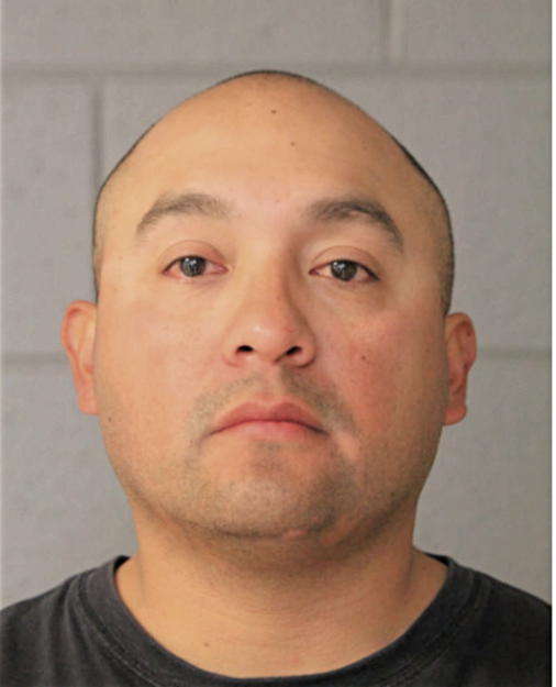 MICHAEL M ESTEBAN, Cook County, Illinois