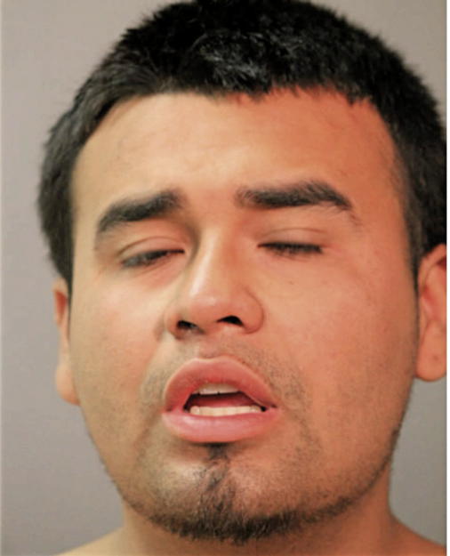 CHRISTIAN GONZALEZ, Cook County, Illinois