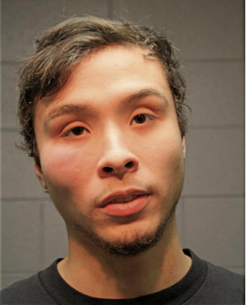 KEVIN F ISACCA, Cook County, Illinois