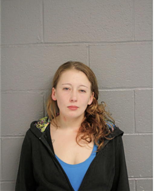 BRITTANY M KLEIN, Cook County, Illinois