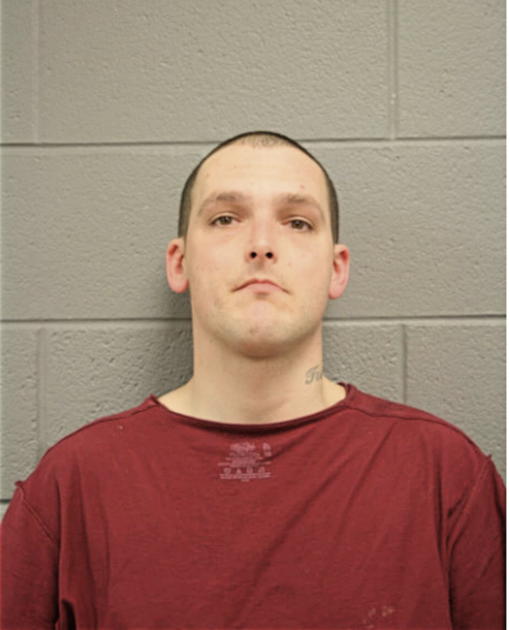 TRAVIS Q LANIER, Cook County, Illinois
