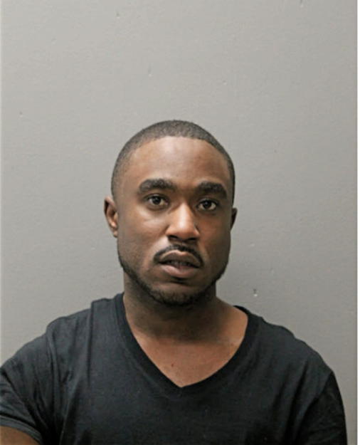 JOSHUA E LAWSON, Cook County, Illinois