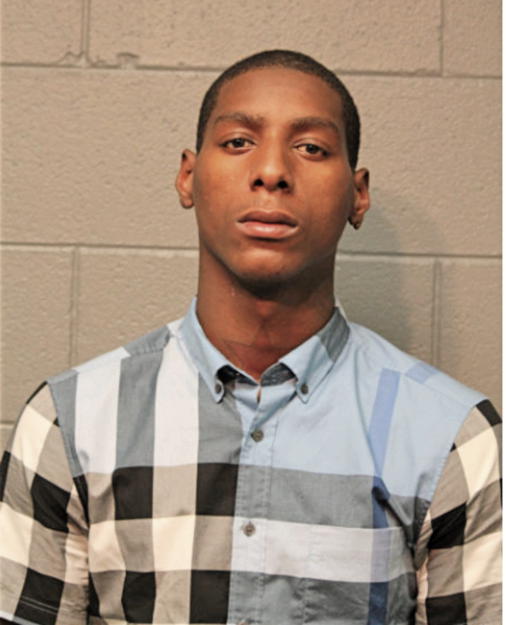 DARIUS L LEWIS, Cook County, Illinois