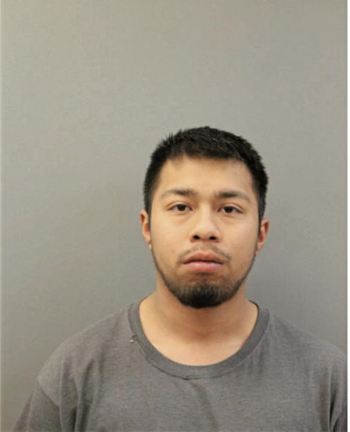 JUAN D MARTINEZ, Cook County, Illinois
