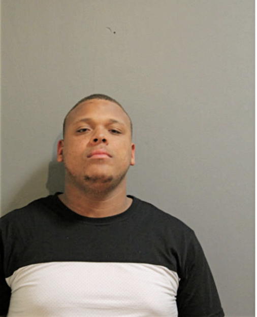 DARYL S MCELRATH, Cook County, Illinois