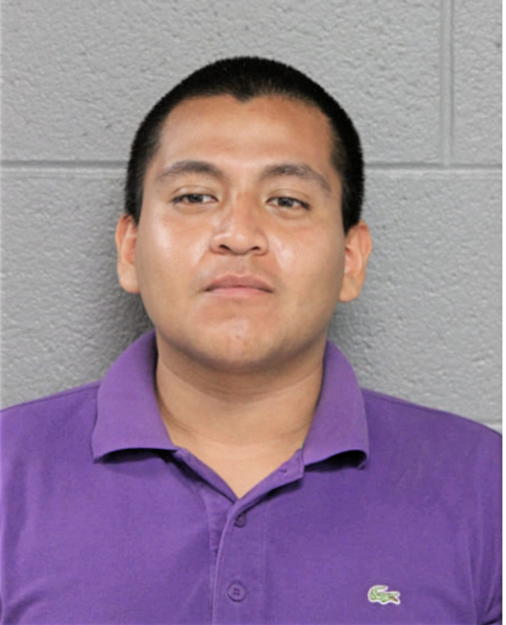 REBOCATO RUIZ MEJIA, Cook County, Illinois