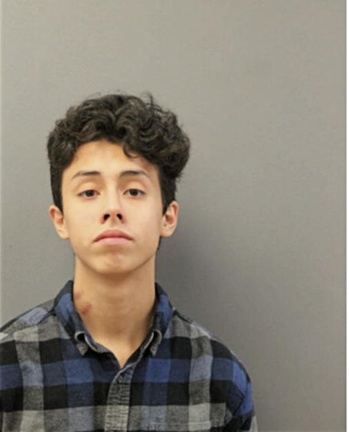 BRANDON PAEZ, Cook County, Illinois